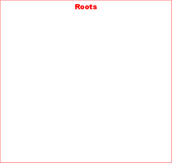 Text Box: Roots  